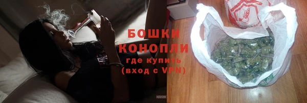 ГАЛЛЮЦИНОГЕННЫЕ ГРИБЫ Аркадак