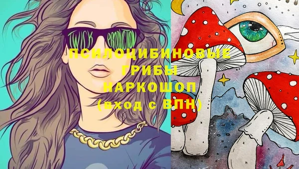 ГАЛЛЮЦИНОГЕННЫЕ ГРИБЫ Аркадак
