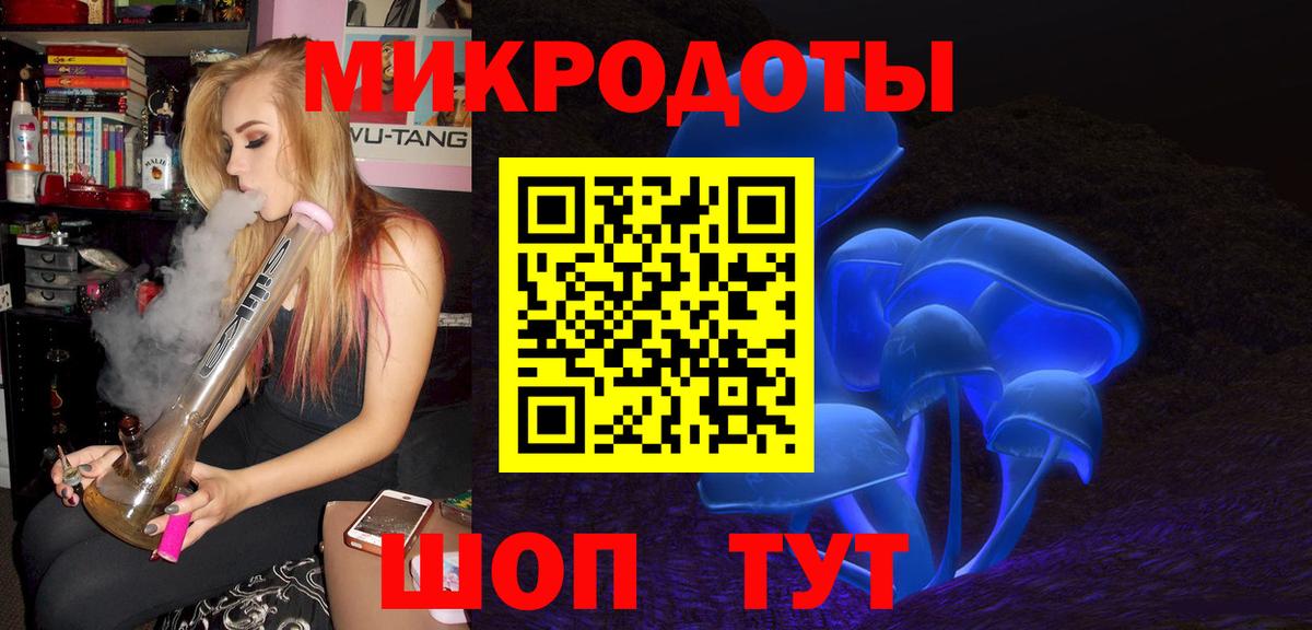 Псилоцибиновые грибы Cubensis Нарткала