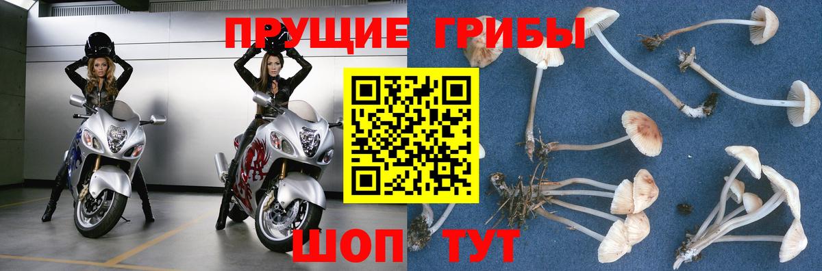 Нарткала  Псилоцибиновые грибы мухоморы  Вход с VPN 